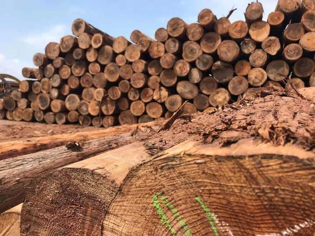 정원 장식 좋은 안정성을 위한 주문 제작된 야외 삼나무 목재 울타리