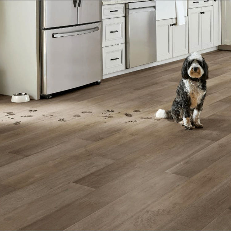 방수 목재 곡물 4mm 5mm Pvc 클릭 잠금 Spc 바닥 Lvp 바닥 비닐 판지 IXPE와 고급 비닐 바닥