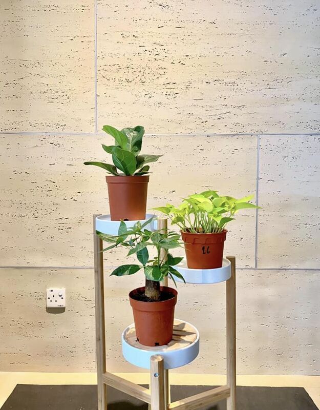 유연 트래버틴 시트 3d 트래버틴 돌 패널 유연 클래싱 Ms 트래버틴 유연 외부 벽돌