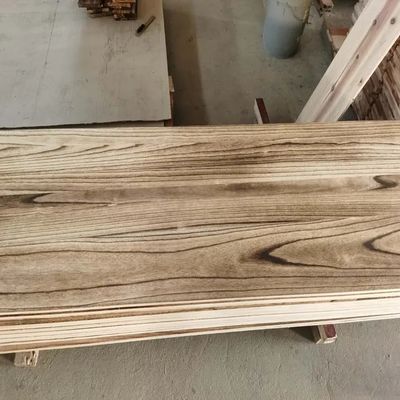 중국 제조력 강한 습도 방지 탄화 된 나무 파울루니아