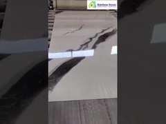 완성 된 UV 대리석 엽 디스플레이