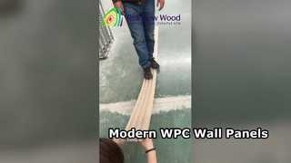 현대 주택을 위한 WPC 벽면 패널